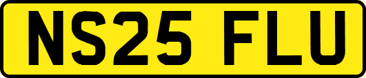 NS25FLU