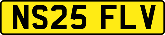 NS25FLV