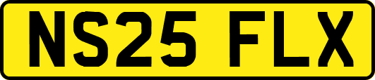 NS25FLX