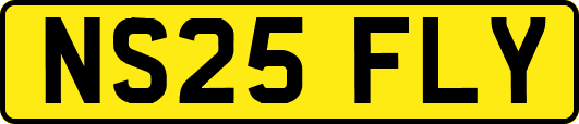 NS25FLY