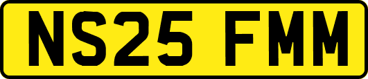 NS25FMM