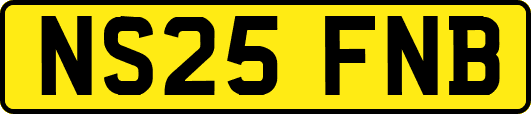 NS25FNB