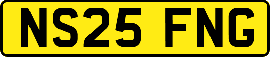 NS25FNG