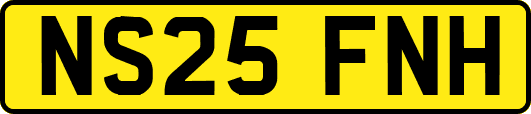 NS25FNH