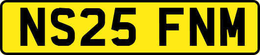 NS25FNM