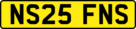 NS25FNS
