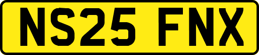 NS25FNX