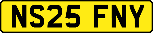 NS25FNY