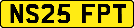 NS25FPT