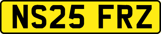 NS25FRZ