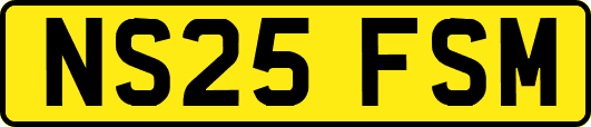 NS25FSM