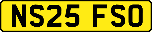 NS25FSO