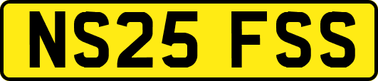 NS25FSS