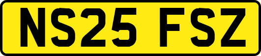 NS25FSZ