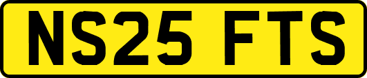 NS25FTS