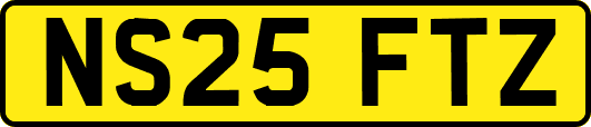 NS25FTZ