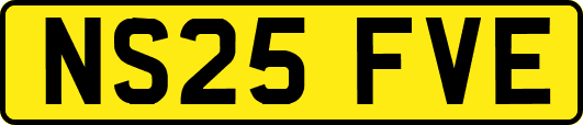 NS25FVE