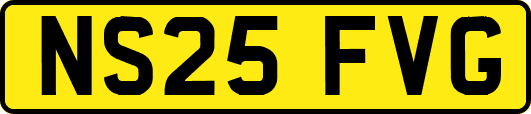 NS25FVG