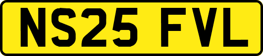 NS25FVL