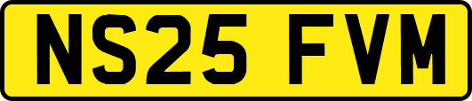 NS25FVM