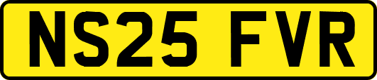 NS25FVR