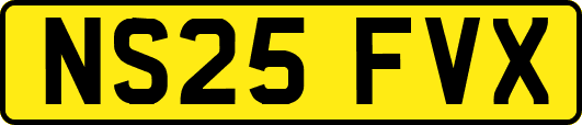 NS25FVX