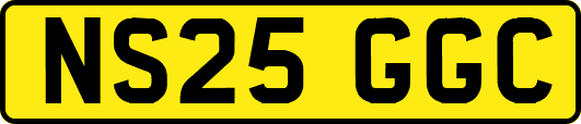 NS25GGC
