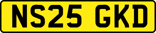 NS25GKD