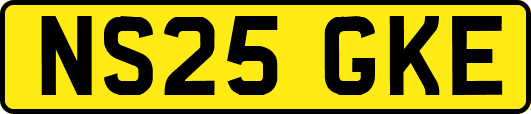 NS25GKE
