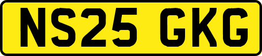 NS25GKG