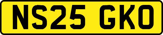 NS25GKO