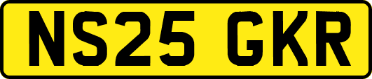 NS25GKR