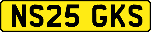 NS25GKS