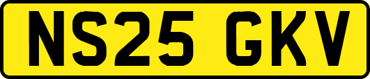 NS25GKV