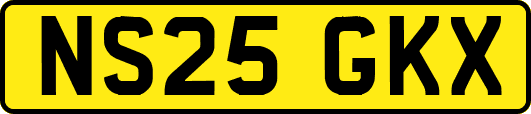 NS25GKX