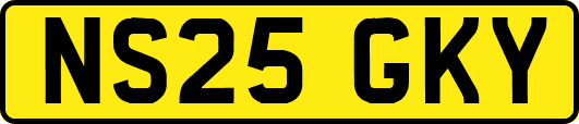 NS25GKY