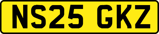 NS25GKZ