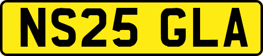 NS25GLA