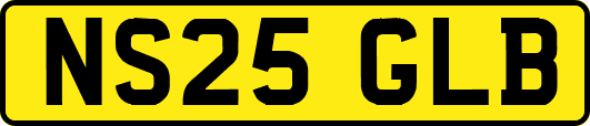 NS25GLB