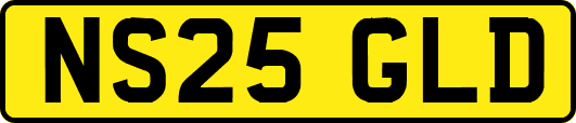 NS25GLD