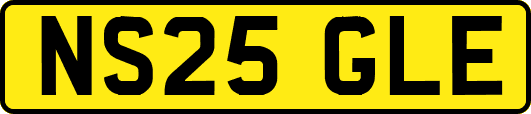 NS25GLE