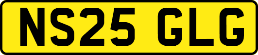 NS25GLG