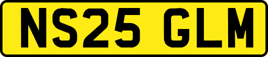 NS25GLM