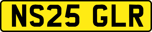 NS25GLR