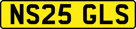NS25GLS