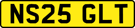 NS25GLT