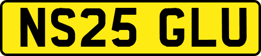 NS25GLU