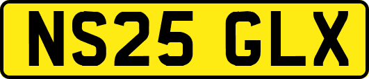 NS25GLX