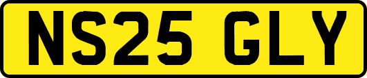 NS25GLY