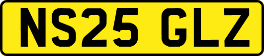 NS25GLZ